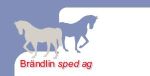 br�ndlinsped-logo